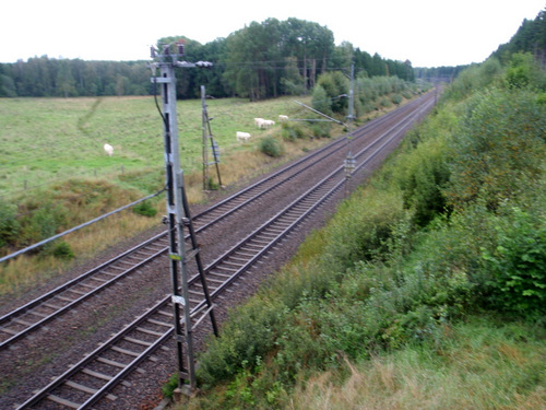 Main train line tracks.